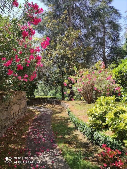 Area Di Gabri E Alfo - Rapallo Gate'S House Exterior photo